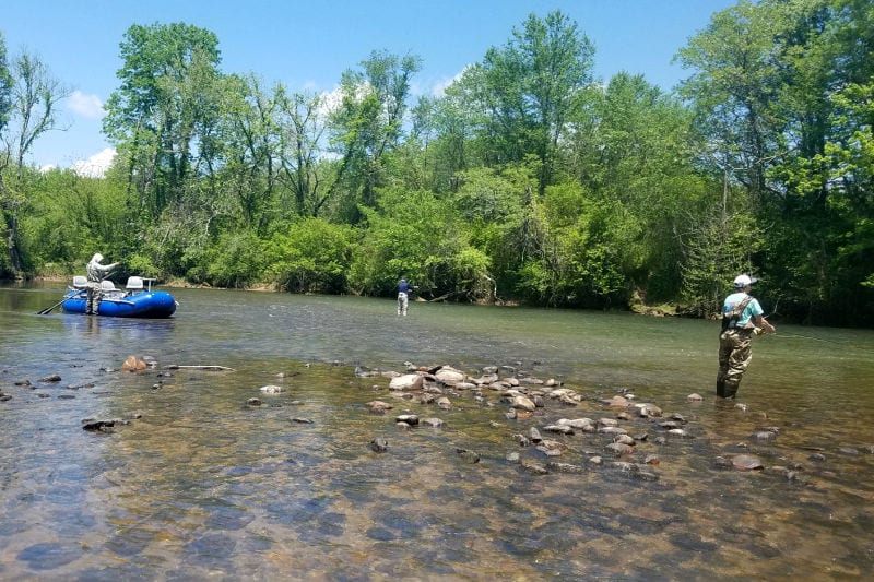 BEST SPOTS FOR FLY FISHING IN NORTH CAROLINA STORY