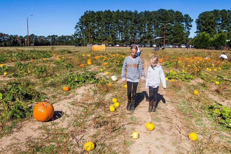 girls walking through a pumpkin patch