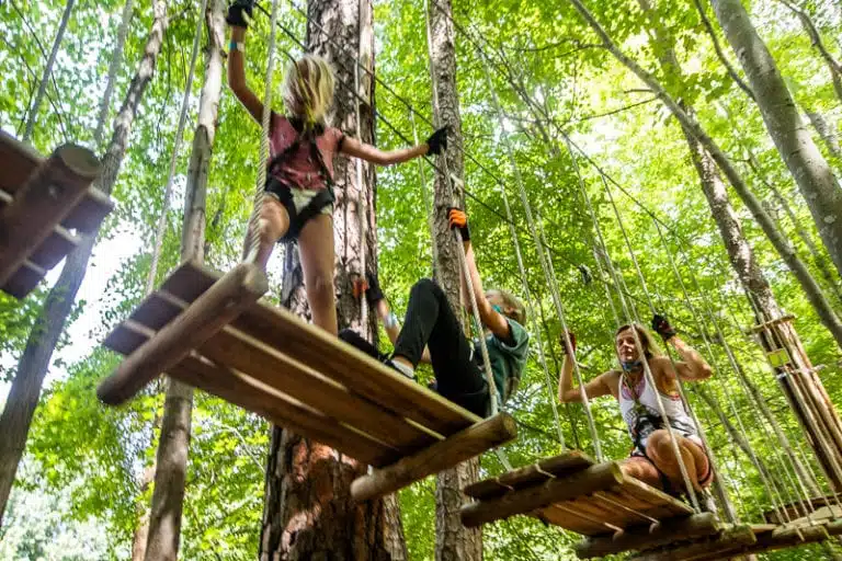 Tree Top Walk Raleigh Go Ape Treetop Adventure & Treetop Journey: Fun For All The Family ...
