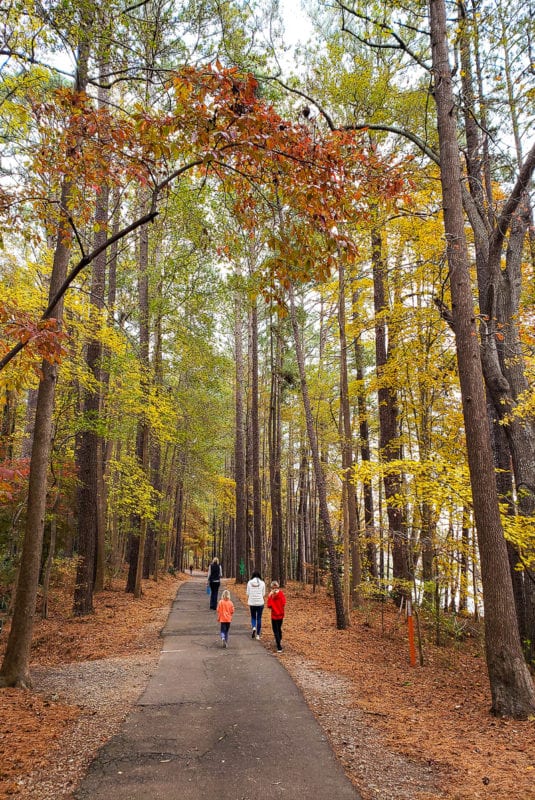 Lake Johnson nature trail in the fall, Raleigh