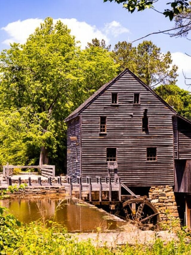 cropped-historic-yates-mill-county-park-raleigh-nc-4-2.jpg