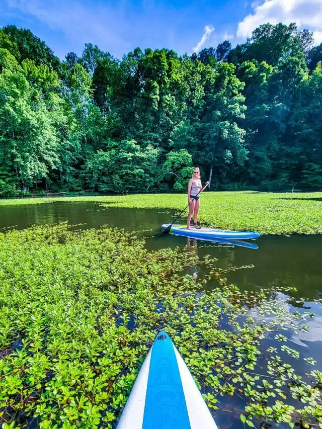 Discover Lake Raleigh (A Hidden Gem) Story | This Is Raleigh