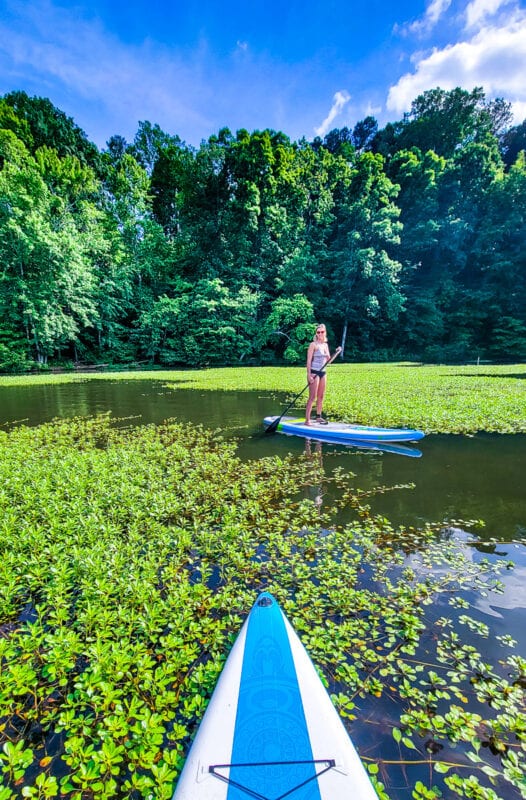 woman paddle boarding on a lake