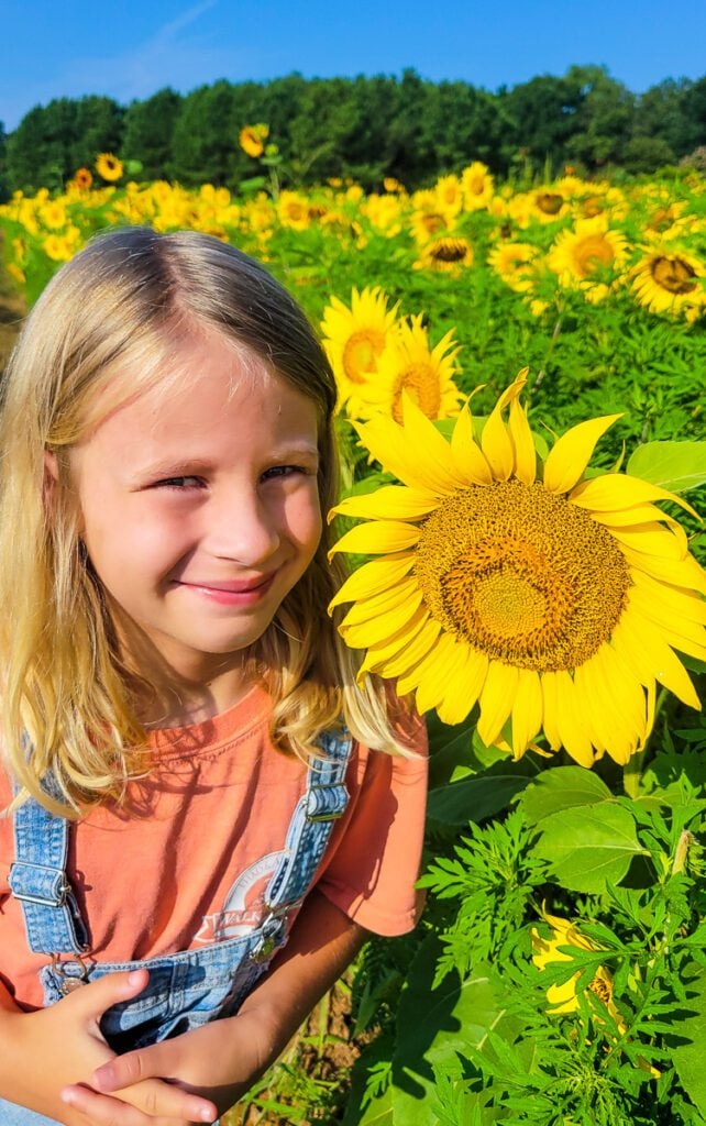 girl's face next to a sunflower