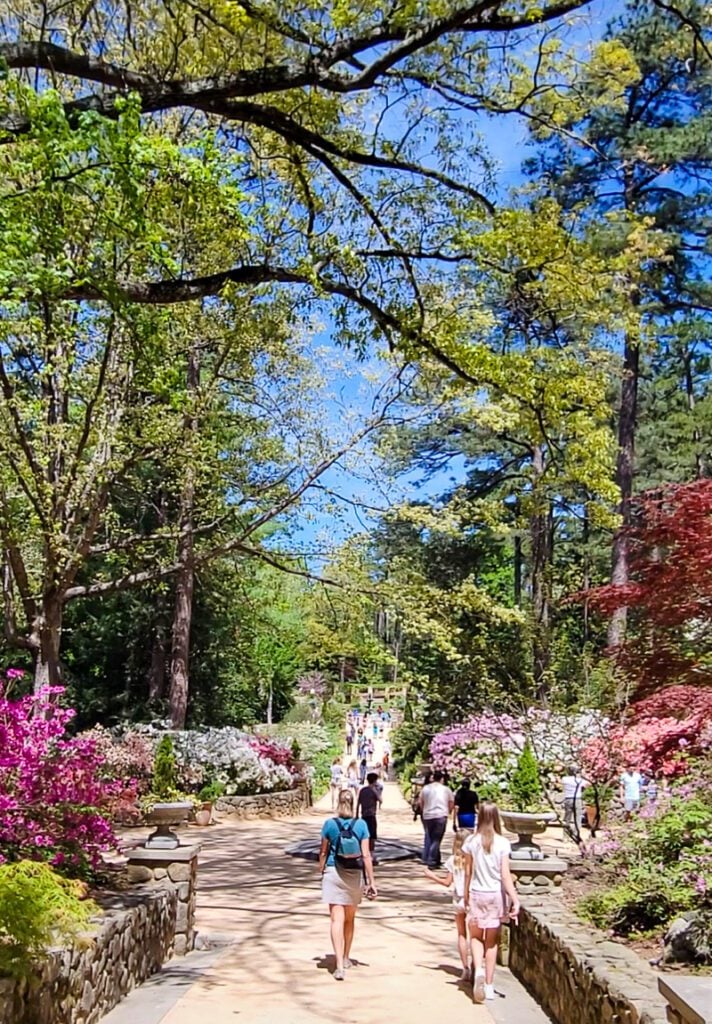 A group of people walking on a path next to gardens