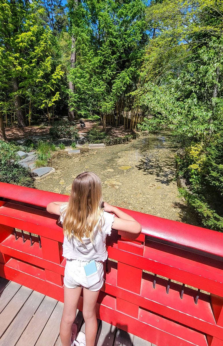 A girl on a bridge looking at a river