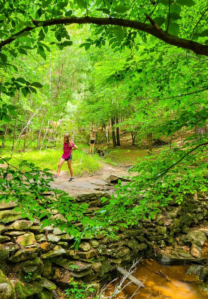 A person walking across a bridge in a lush green forest