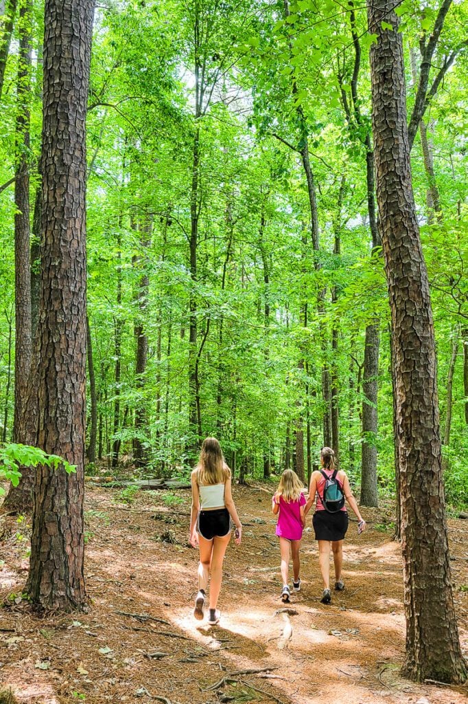 Easy Hike: Pott's Branch Trail (Umstead State Park) W/ VIDEO