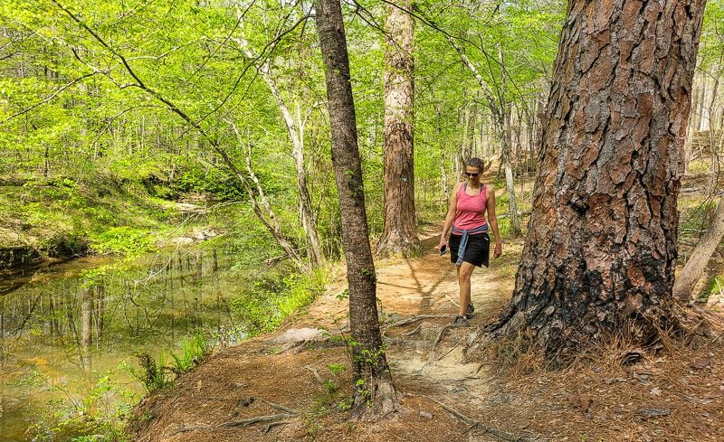 A person standing next to a tree in a forest, with Sycamore Trail