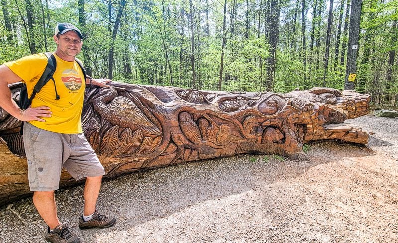 A man standing next to a fallen tree