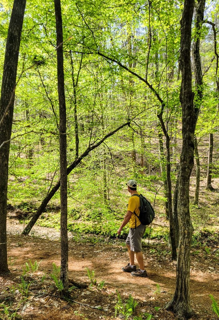 A man standing on the wooded Sycamore Trail