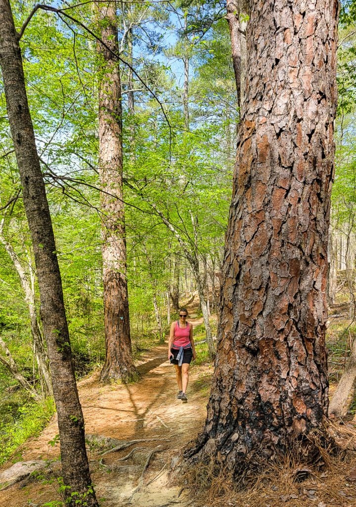 A person walking through a forest