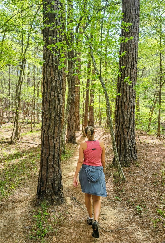 A person waling in a wooded area, Sycamore Trail