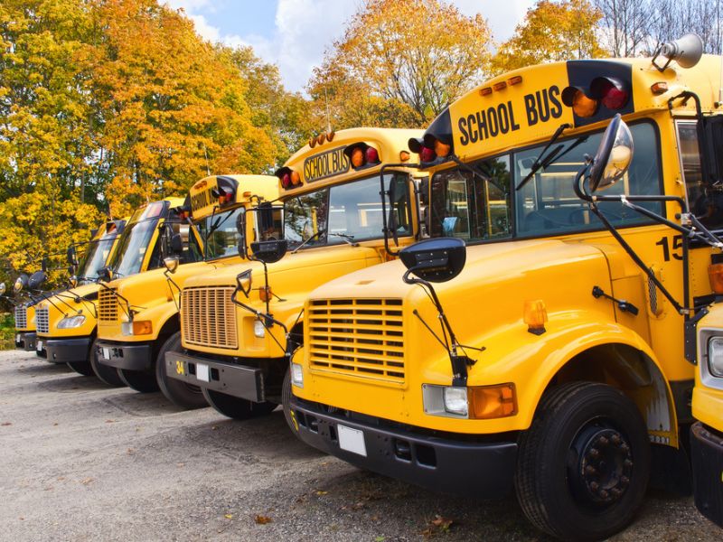 School buses parked in a row