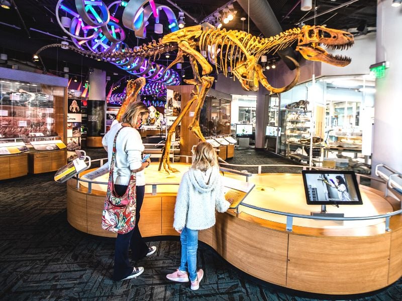 Mother and daughter looking ata display of a dinosor skeleton in a museum