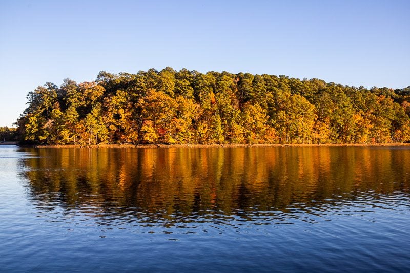 fall colors on the edge of lake johnson raleigh