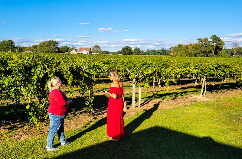 Two ladies looking at grape vines at a vineyard