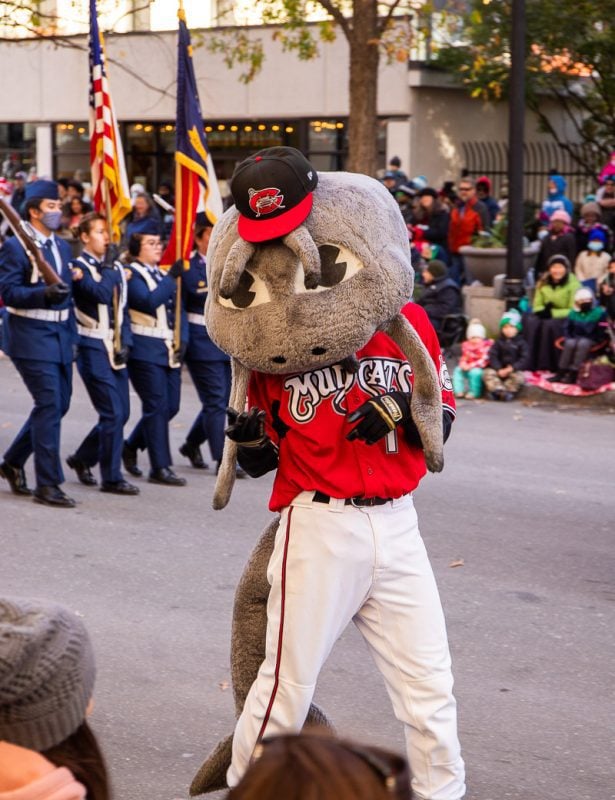 Baseball mascot in a parade