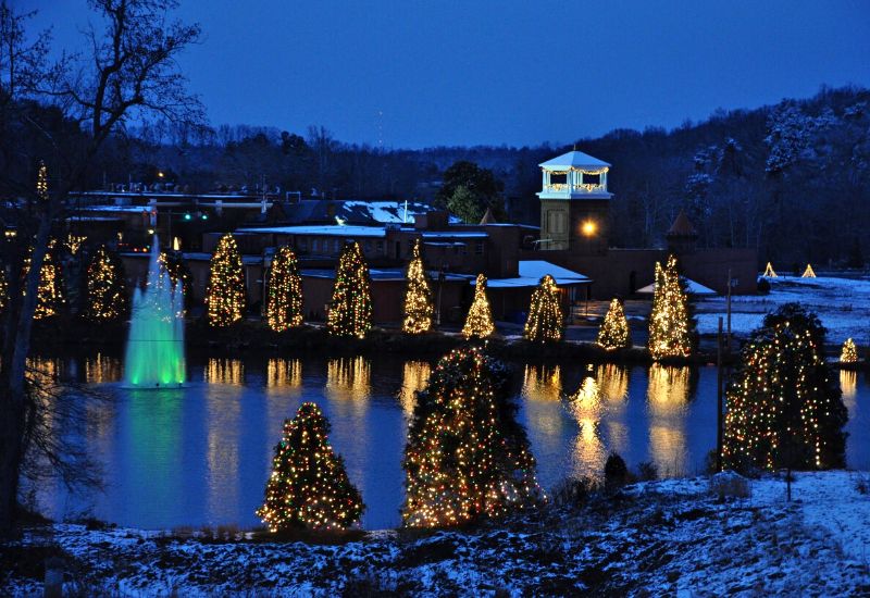 Christmas trees around a lake