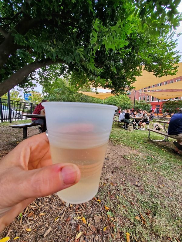 person holding cup of wine in beer garden
