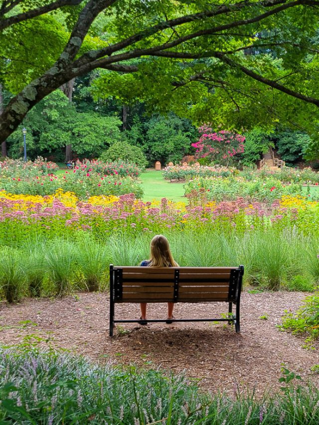 Girl sitting on a bench seat in a rose garden