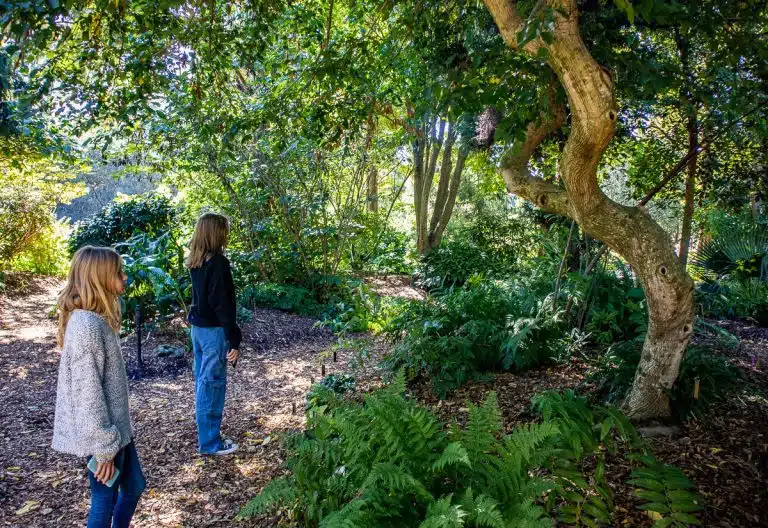 Hummingbird Raleigh Patio 9 Beautiful Gardens In Raleigh And The Greater Triangle | This Is Raleigh