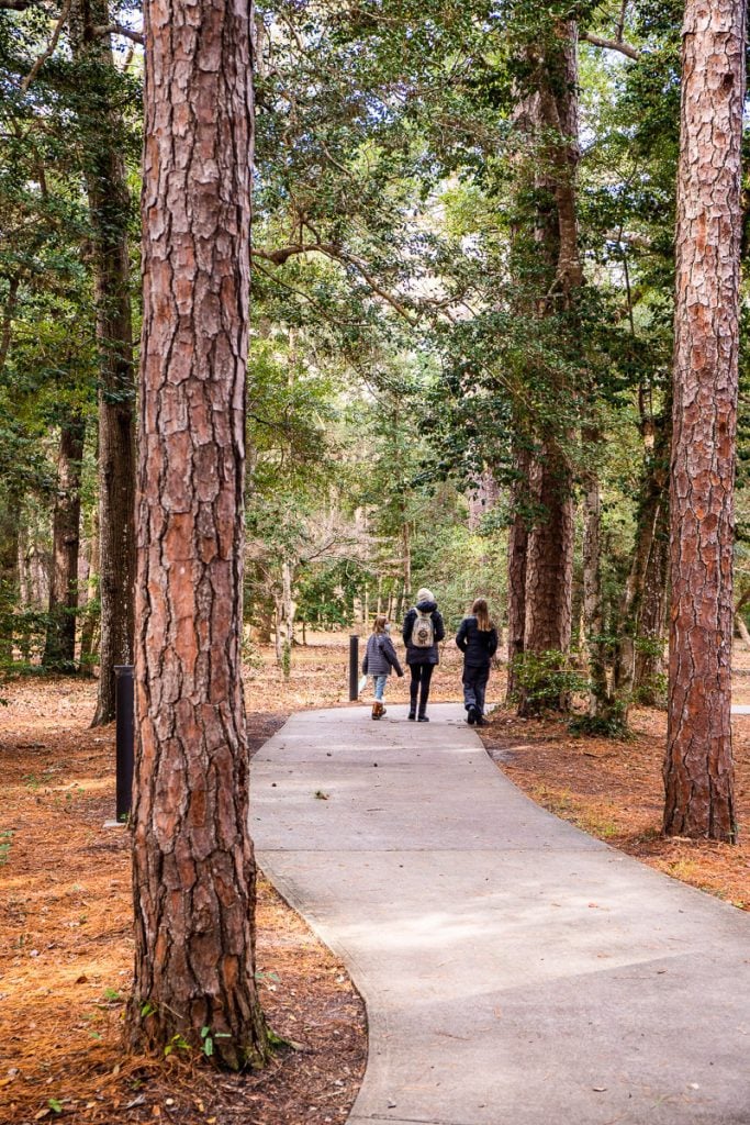 people walking along a wooded trail