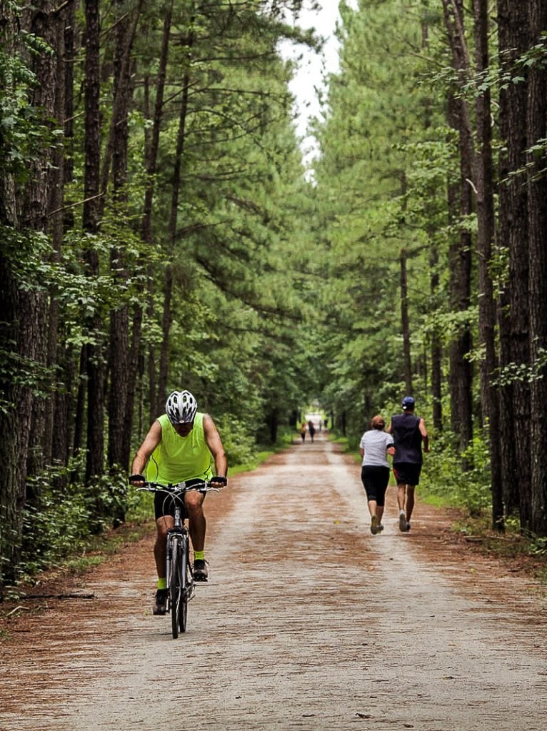 Cyclist and walkers on a forest trail