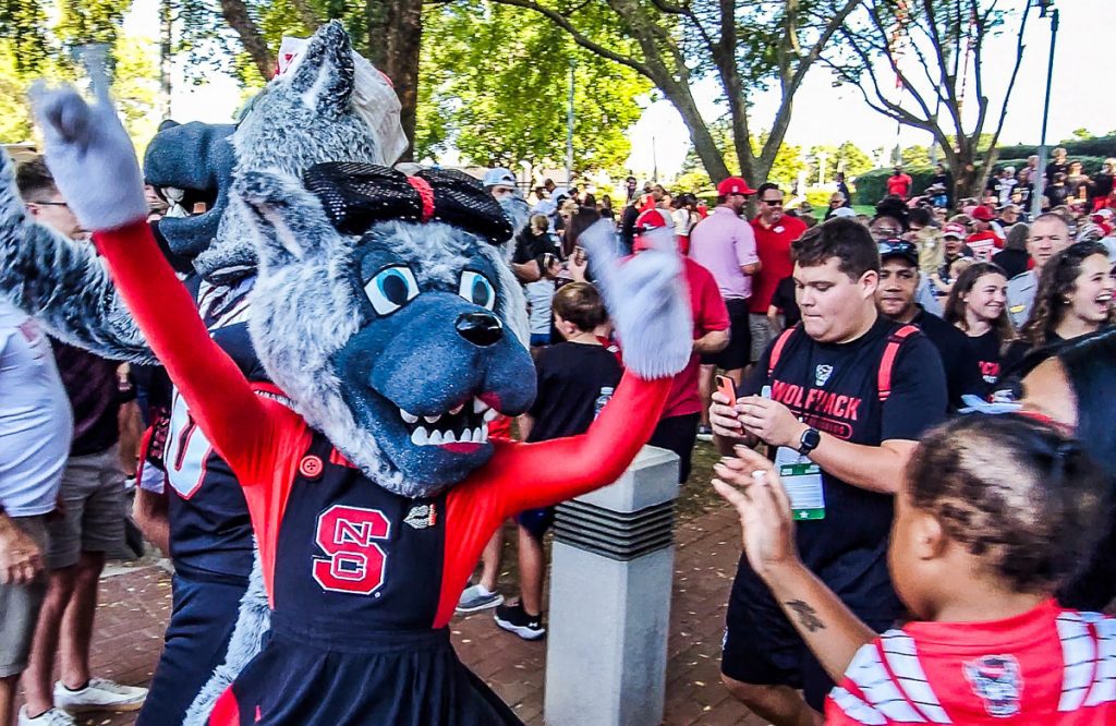Someone dressed as a wolf as a mascot for a football team
