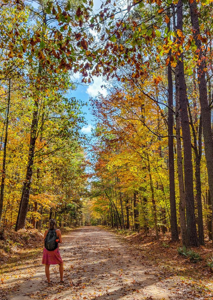 Lady walking along a hiking trail in the Fall