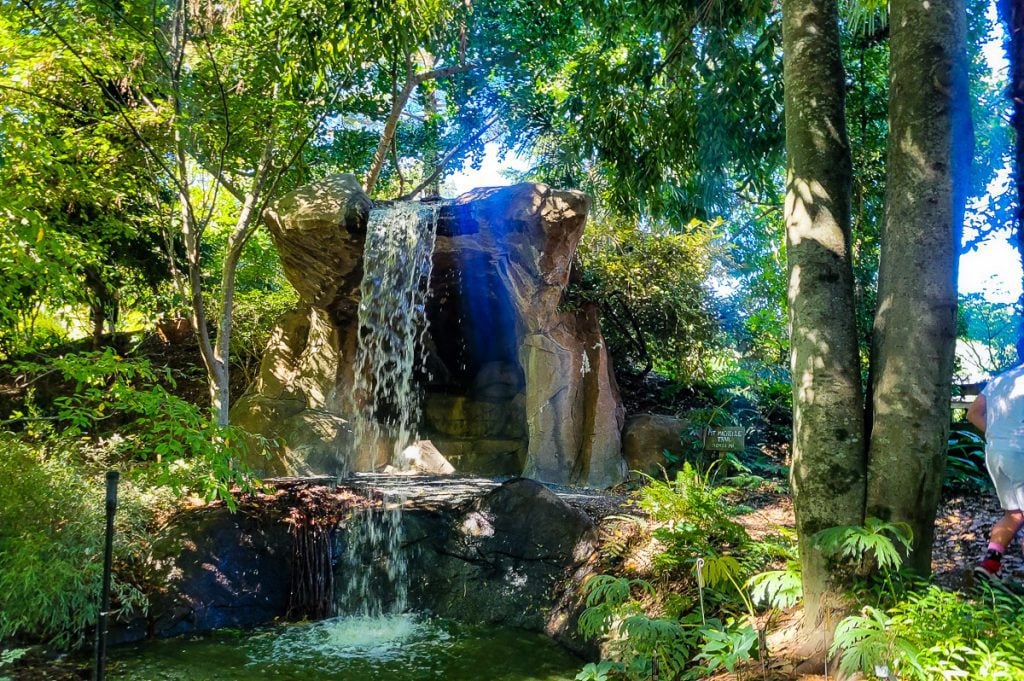 Waterfall and trees in a garden