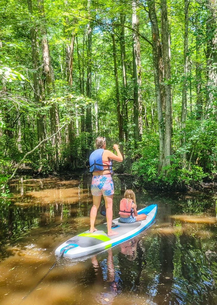 Mother and daughter on a stand-up paddle board paddling through a swamp