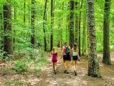 Mom and two daughters walking a trail in the woods