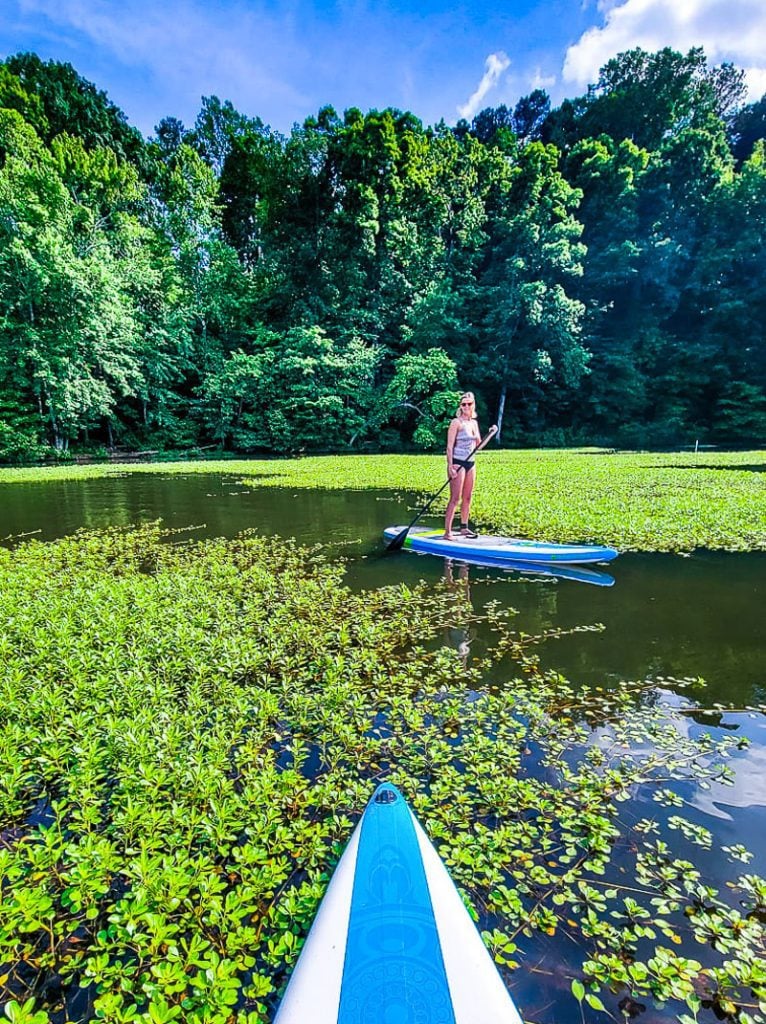 Lady stand up paddle boarding on a lake with lily pads