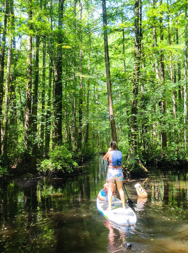 Mom and daughter paddling through a cyrpess swamp