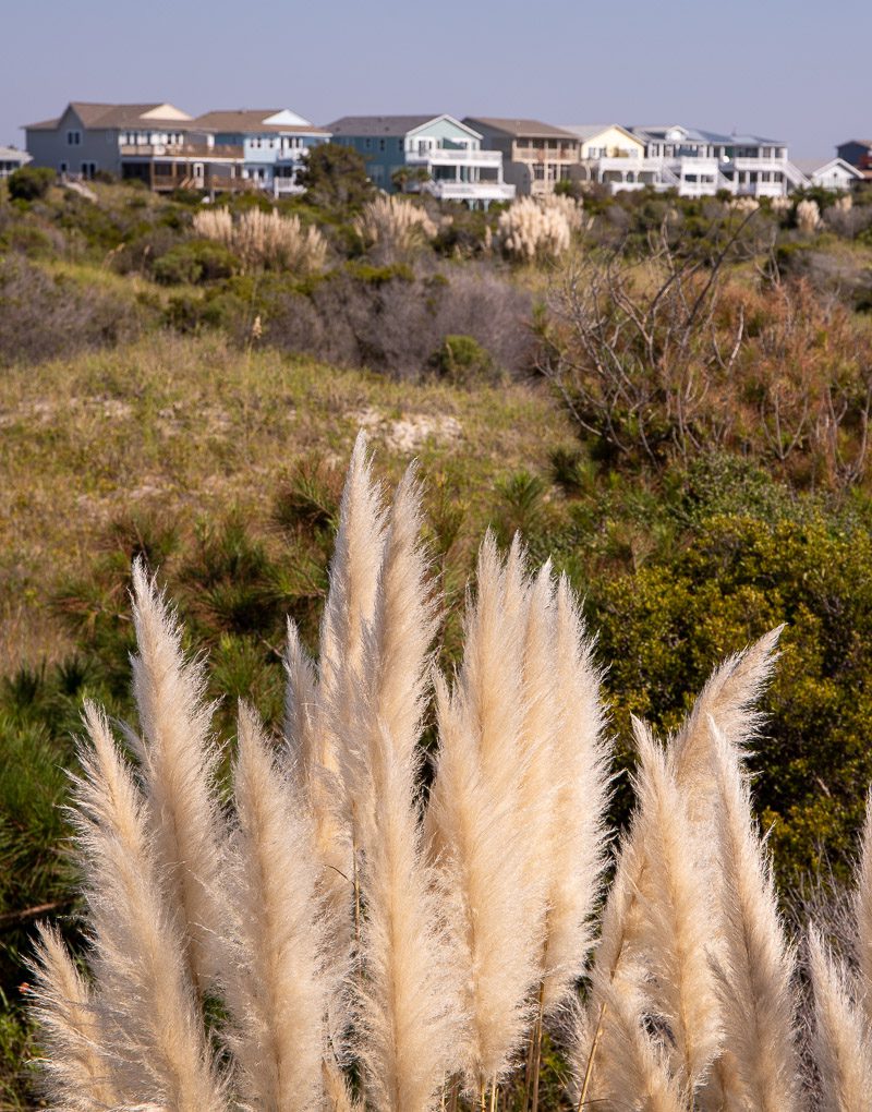 Beach houses behind sand dunes covered in vegetation
