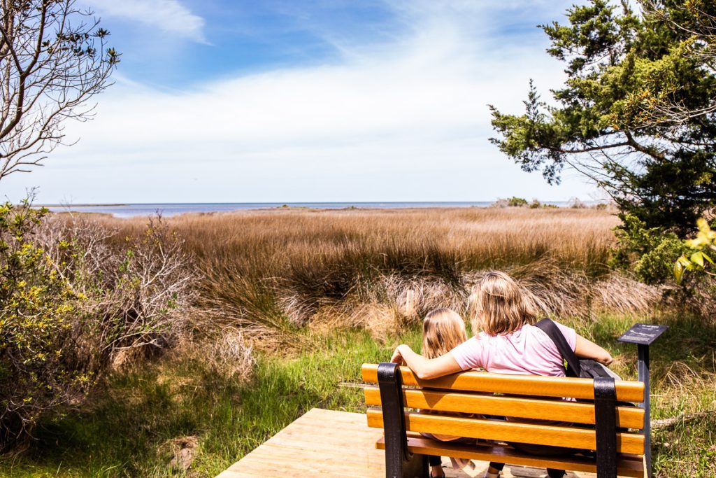 Mom and daughter sitting on a bench looking over grasslands towards a lake
