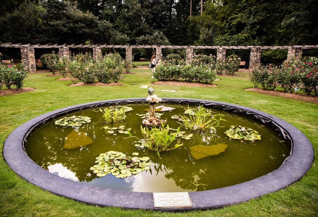 Pond and fountain and roses in a garden