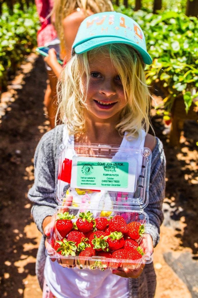 girl holding punnet of strawberries