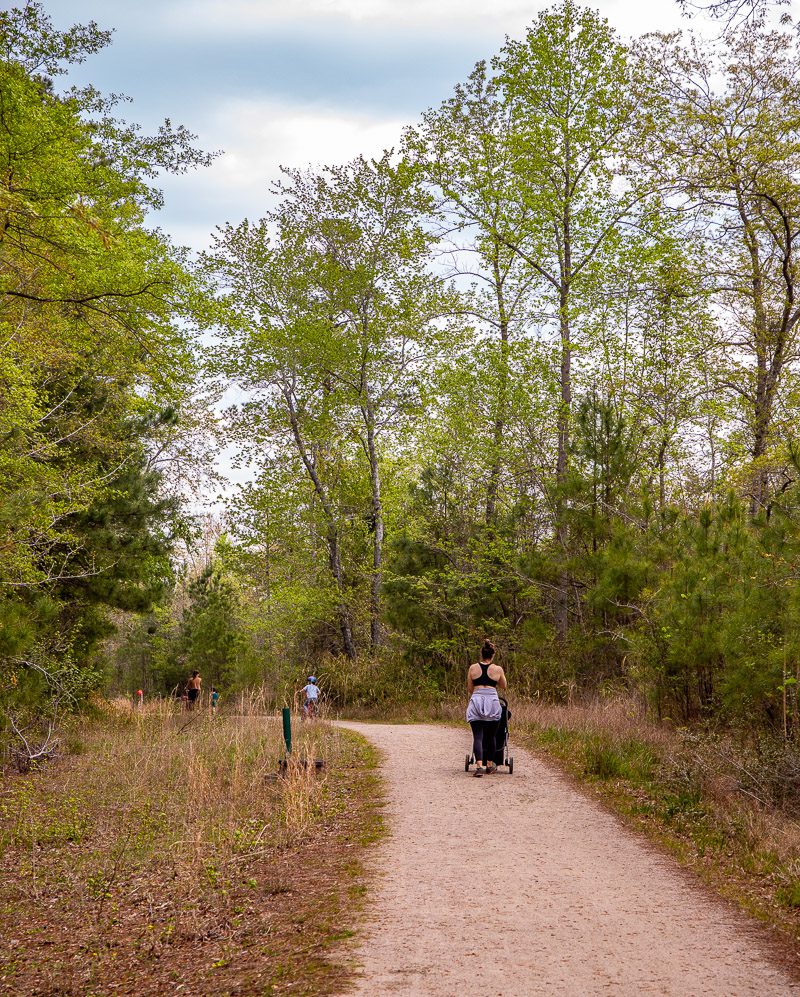 Mom pushing a stroller on a forest trail