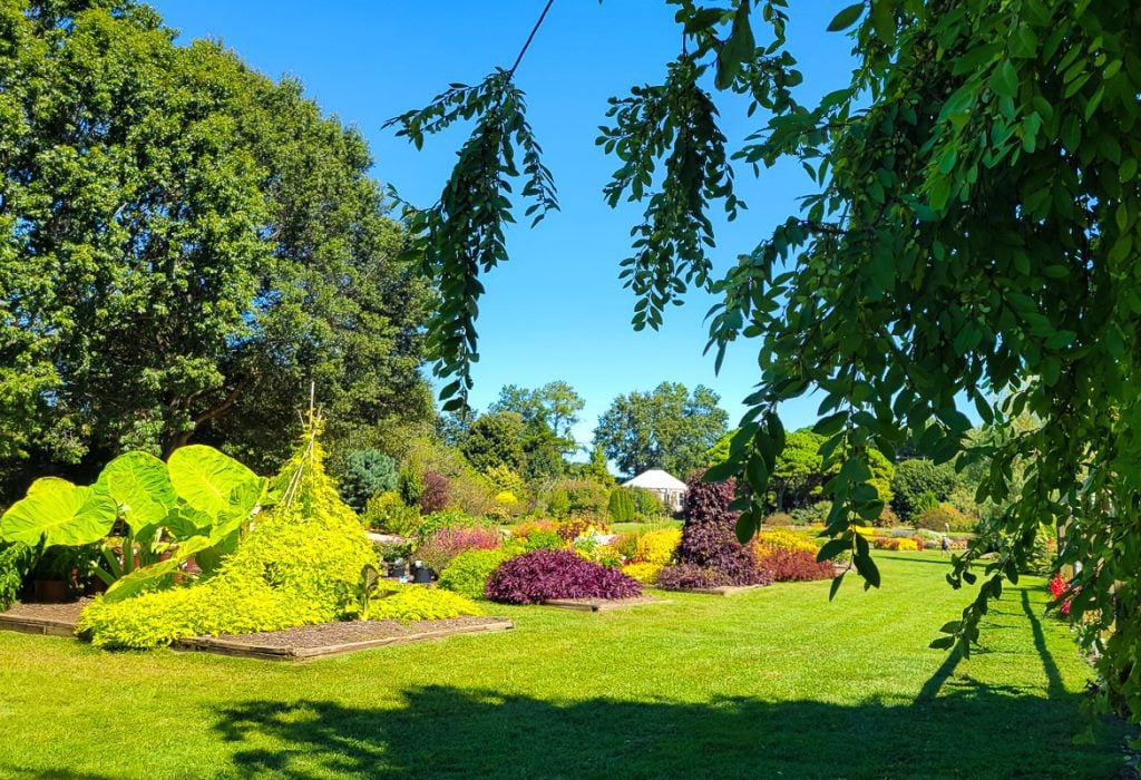 Garden surrounded by trees