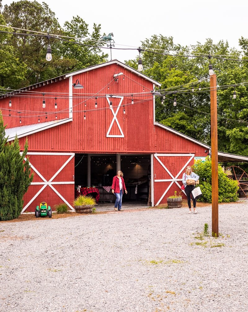 Caroline Makepeace in front of a red barn on a farm