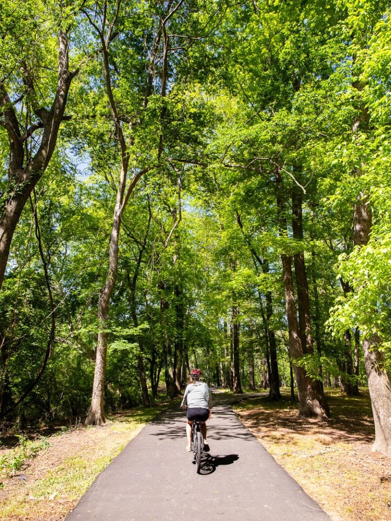 Lady biking a trail through the forest
