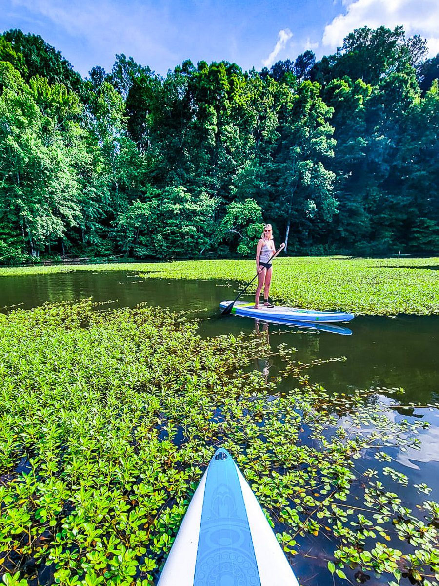 Lady on a stand-up paddle board on a lake