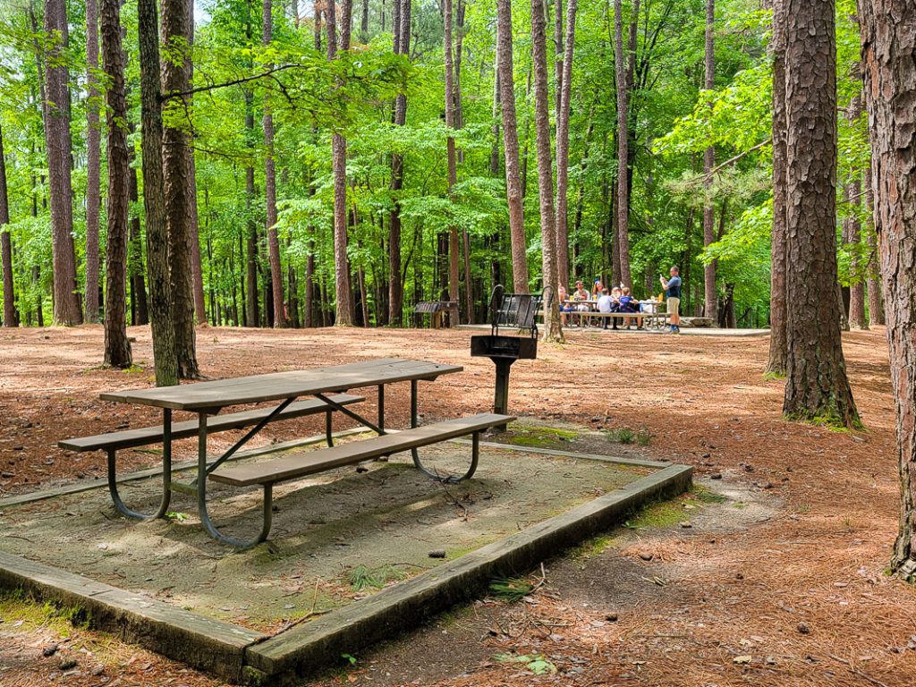 Picnic table in a forest