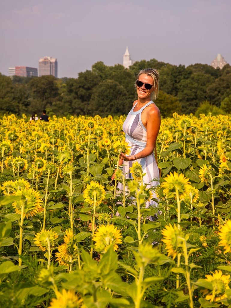 Lady standing in a field of sunflowers