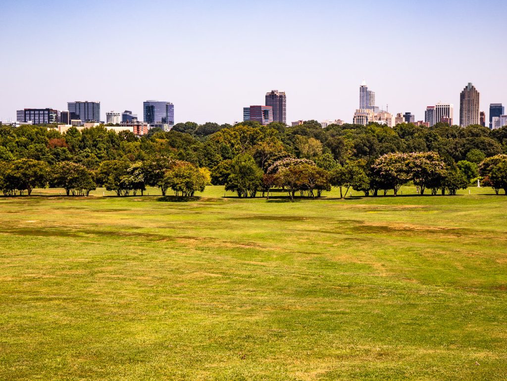 Green grass in a park with trees and city skyline in background