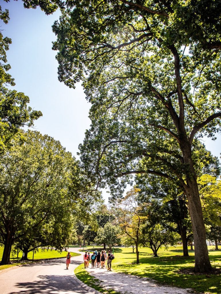 people walking under trees in dorothea dix park
