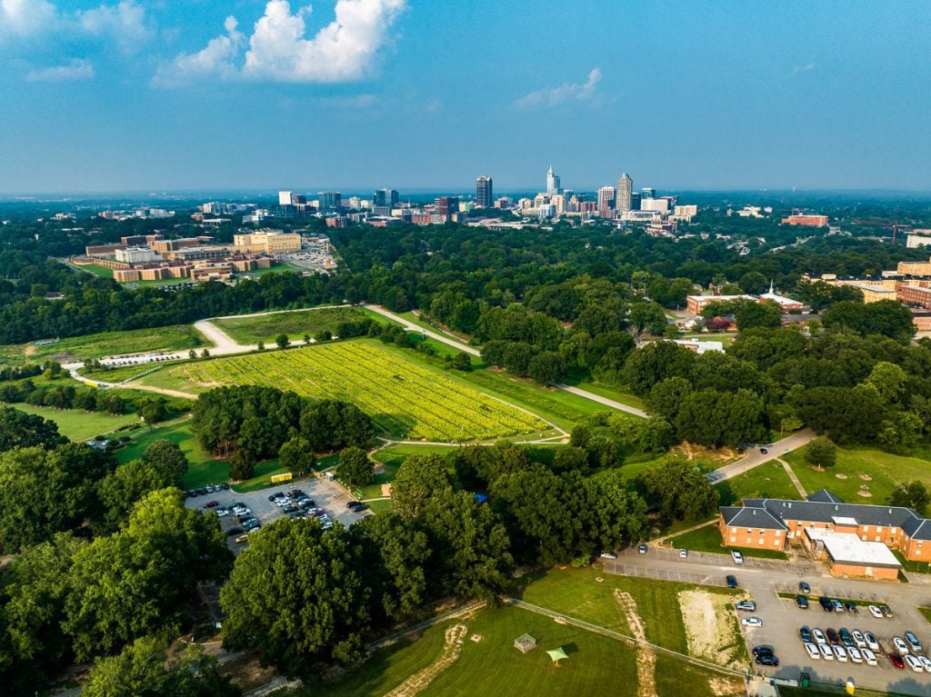 Aerial photo of a park with city in background