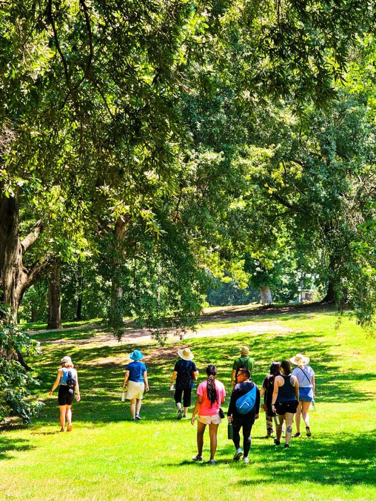 people walking under a tree in dorothea dix park